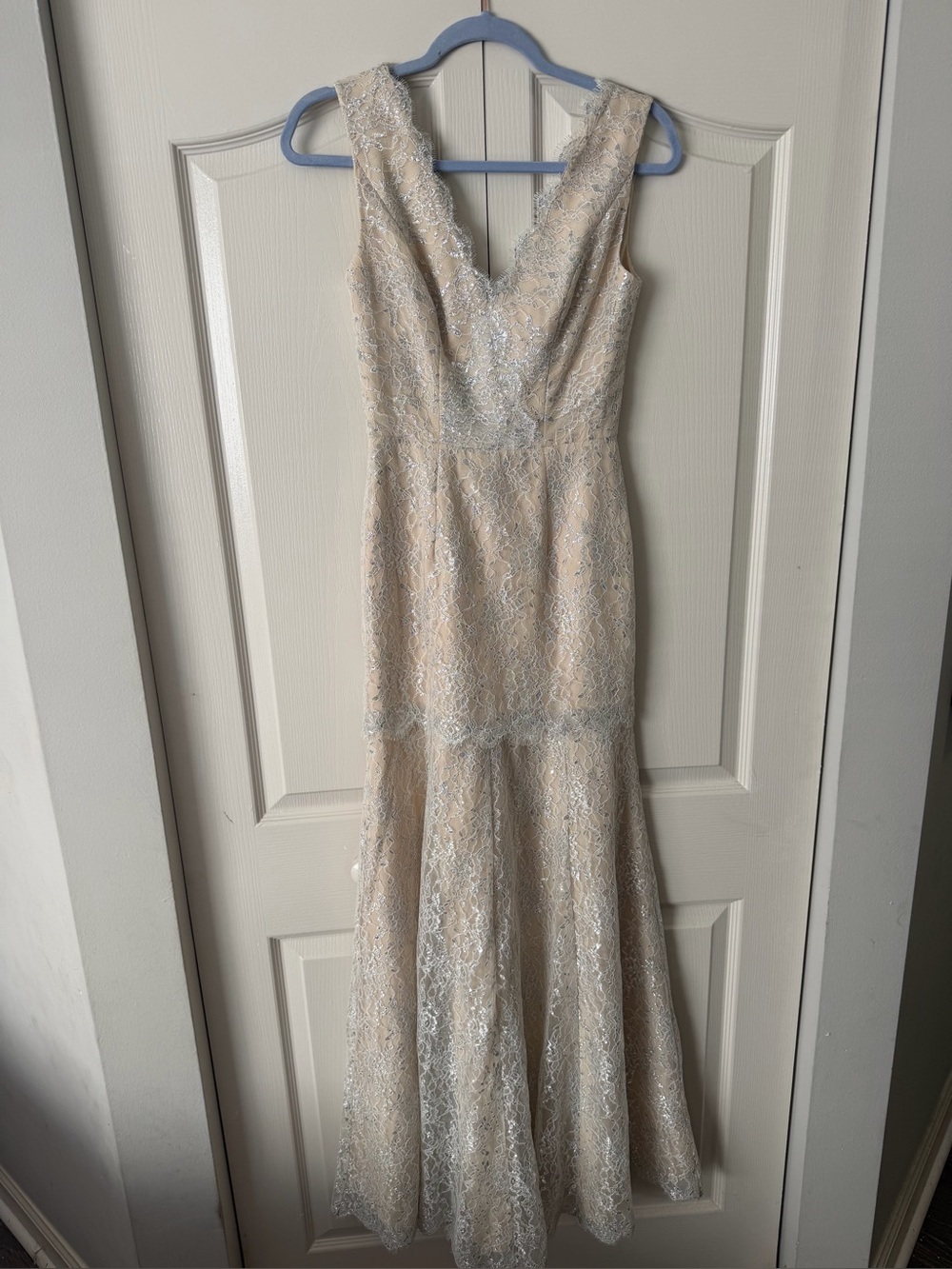 ERIN by Erin Fetherston Champagne Lace V-Neck Mermaid Maxi